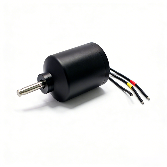 APISQUEEN 70123 48V 1600W Waterproof Brushless Motor for