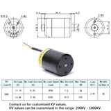 Motore impermeabile brushless ApisQueen 2828 500KV 12-16V (3-4S LiPo) per propulsore subacqueo barca/ROV/robot