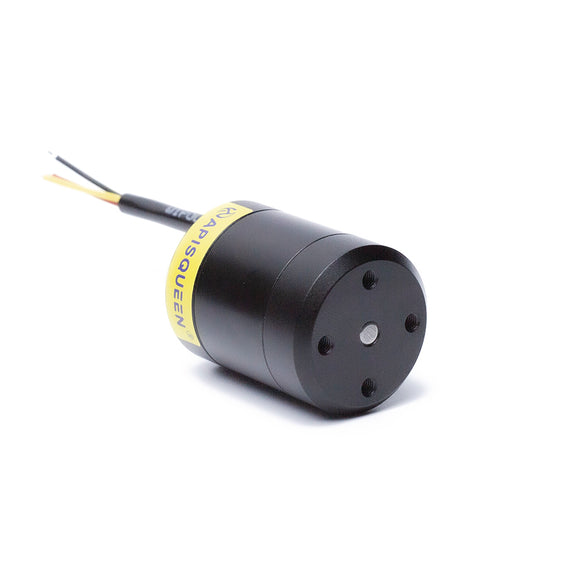 ApisQueen tanpa cat motor tahan air 2828 500KV 12-16v (3-4s LiPo) digunakan untuk kapal pendorongnya /ROV/ bot